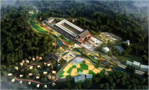 1598431446066.jpg 1.jpg