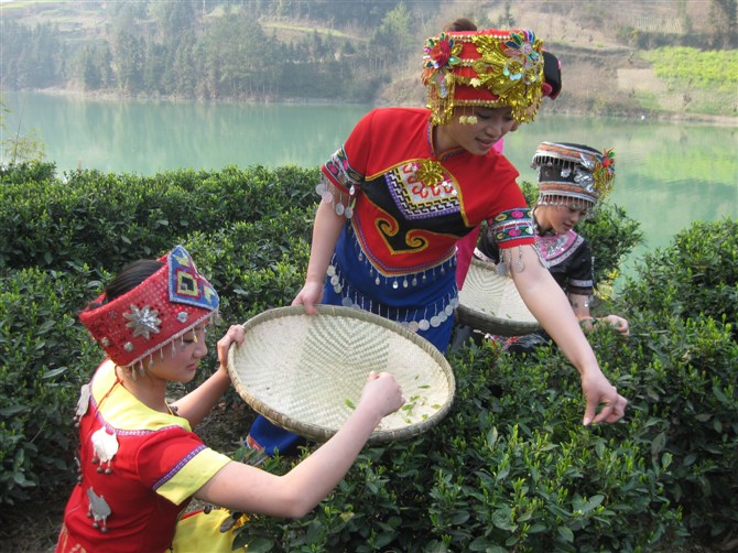 1598433681737.jpg 1.jpg